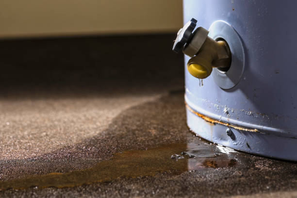 Best Mold removal after water damage  in Duncan, SC
