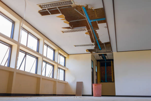 Best Carpet water damage restoration  in Duncan, SC