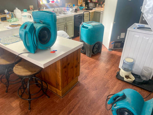 Best Residential water damage restoration  in Duncan, SC