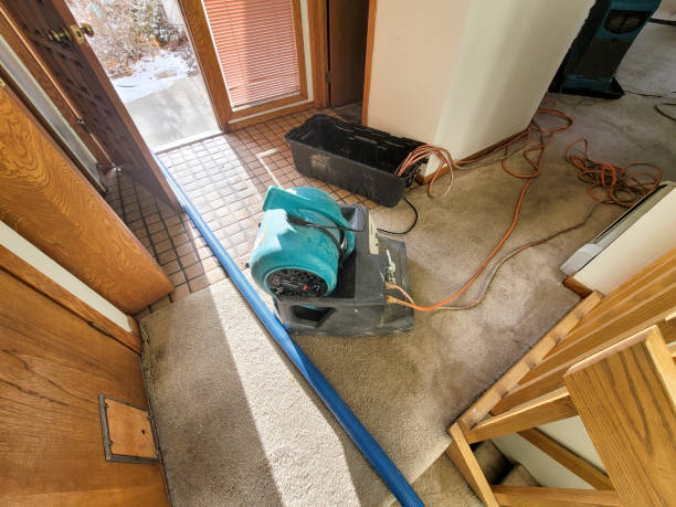 Best Flood damage cleanup  in Duncan, SC