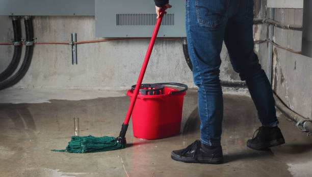 Best Basement water damage restoration  in Duncan, SC