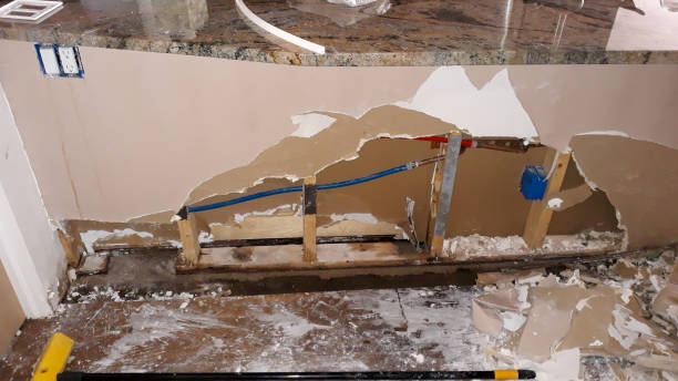 Best Fire Damage Restoration  in Duncan, SC