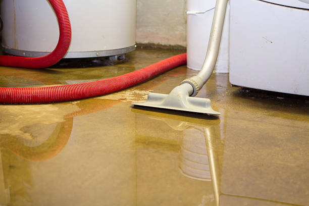 Sewage cleanup and water damage restoration in SC