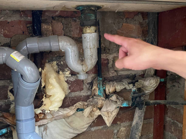 Best Water damage cleanup near me  in Duncan, SC
