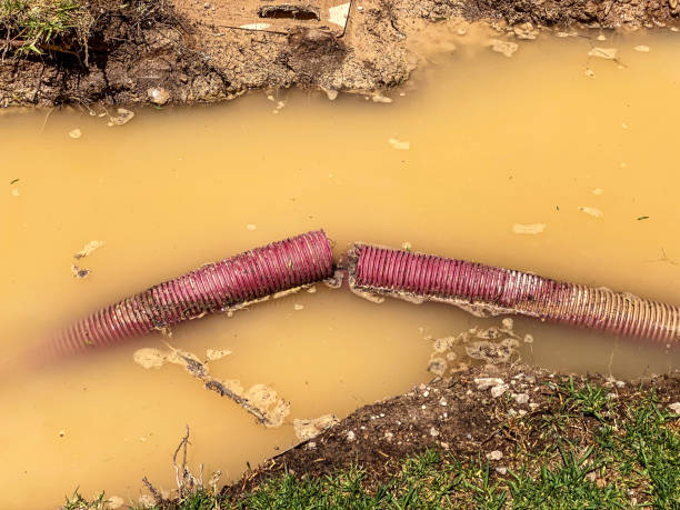 Best Emergency water damage restoration  in Duncan, SC