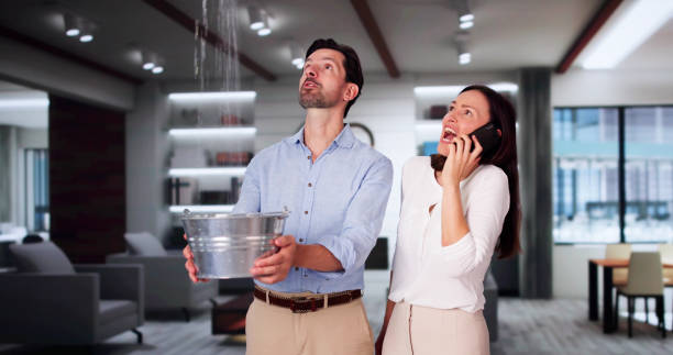 Best Carpet water damage restoration  in Duncan, SC