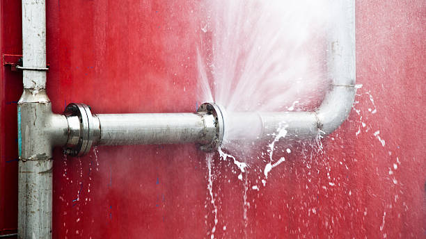Carpet water damage restoration in SC